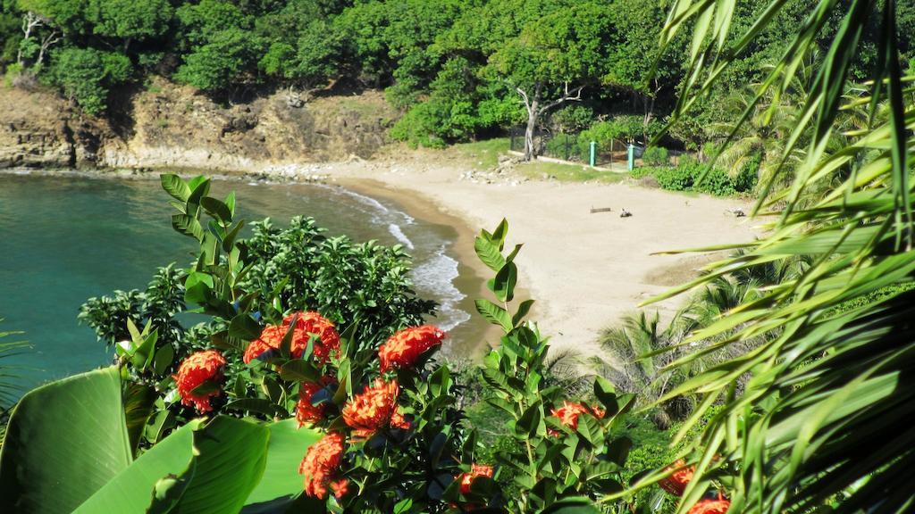 Anse Figuier Gites De France Terre-De-Haut Bilik gambar